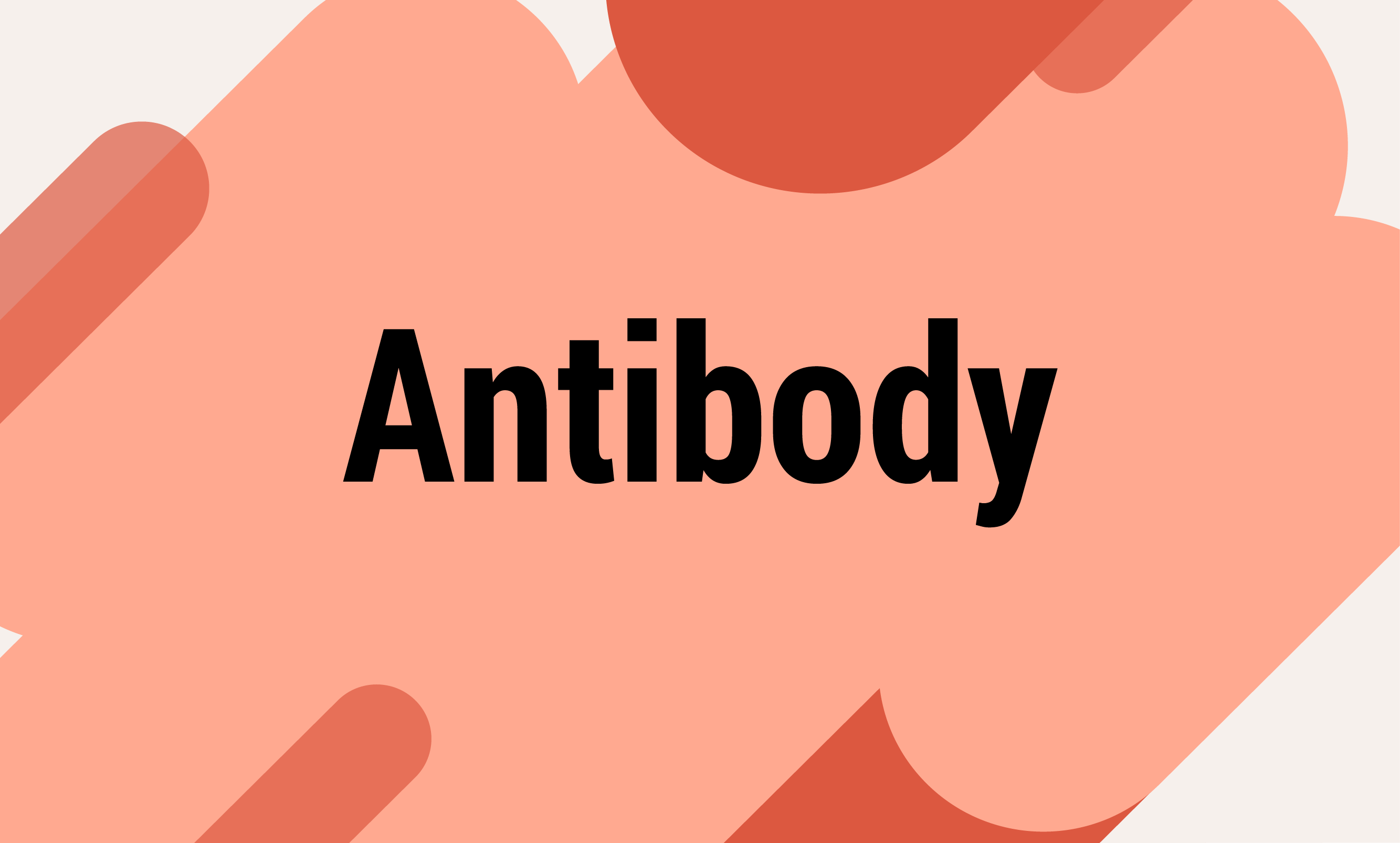 What is Antibody? MS Dictionary Living Like You